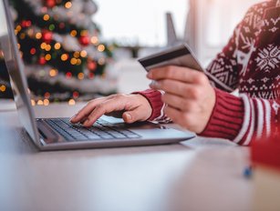 Will Grinch bots steal Christmas with sophisticated attacks?